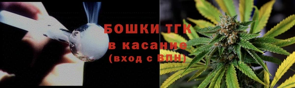 ГАЛЛЮЦИНОГЕННЫЕ ГРИБЫ Беломорск