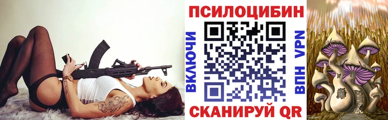 Галлюциногенные грибы Psilocybe  где купить наркоту  Бикин 